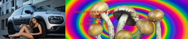 стаф Абдулино