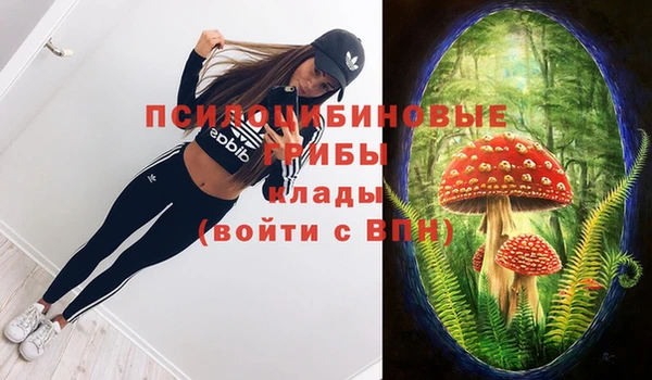 spice Абинск