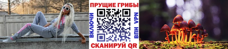 ОМГ ОМГ ССЫЛКА  Сальск  Галлюциногенные грибы мицелий 