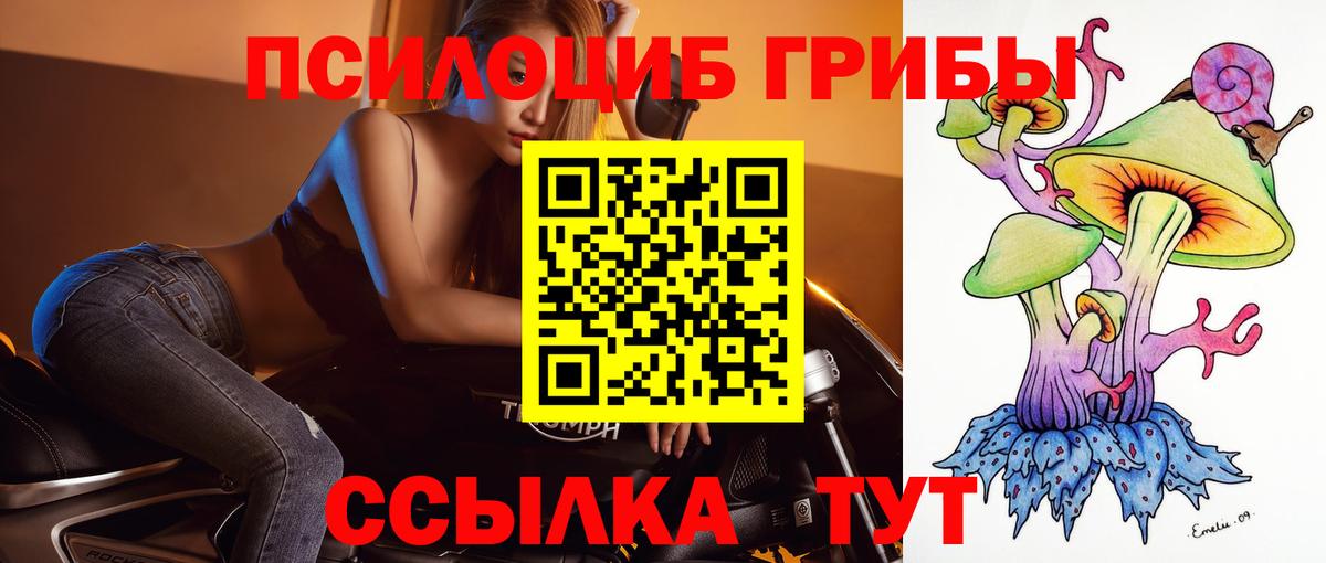 Галлюциногенные грибы Magic Shrooms Сальск