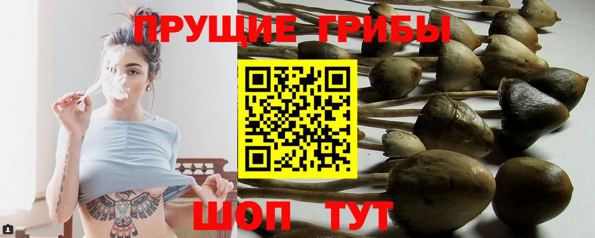 Сальск  Псилоцибиновые грибы Psilocybe  Галлюциногенные грибы MAGIC MUSHROOMS  Вход с VPN 