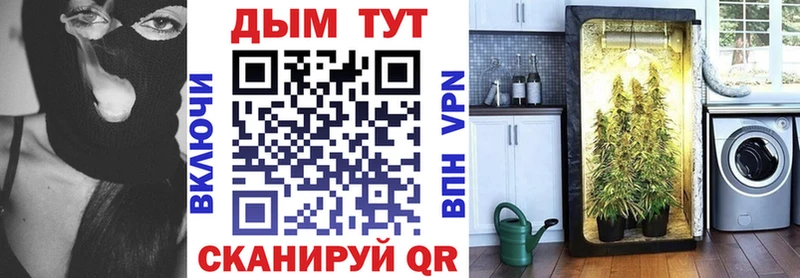 дарнет шоп  Сальск  Каннабис план 